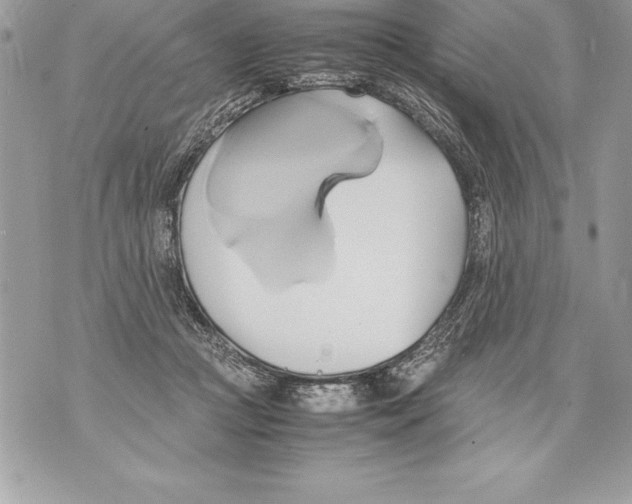 X0000070870361200607150127