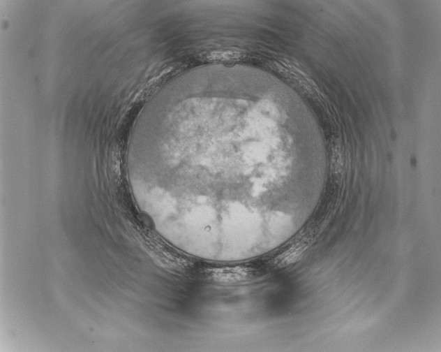 X0000070870363200607150127