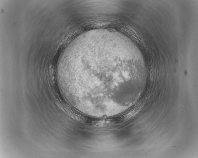 X0000070870366200607150127