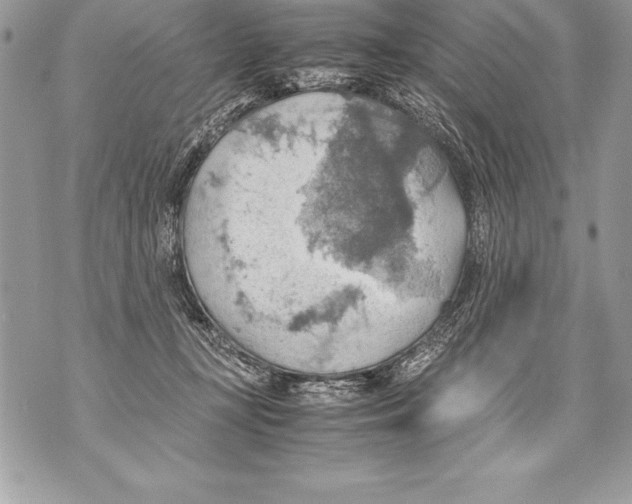 X0000070870367200607150127