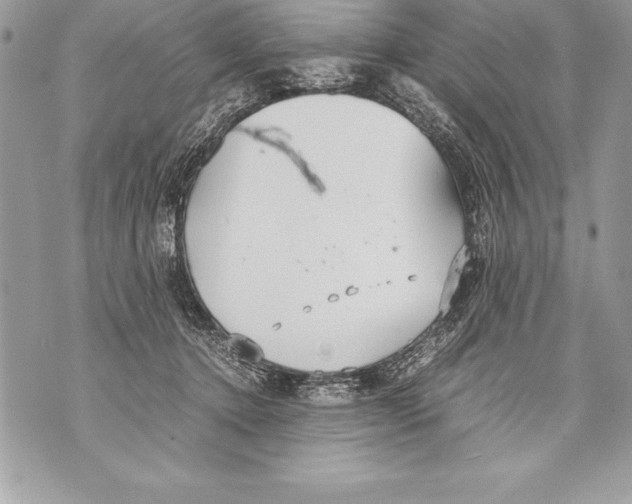 X0000070870368200607150127