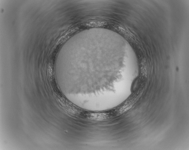 X0000070870371200607150127