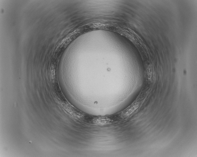 X0000070870372200607150127