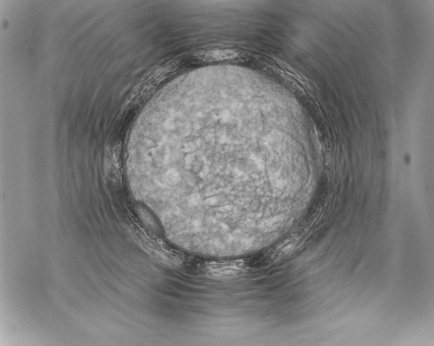 X0000070870373200607150127