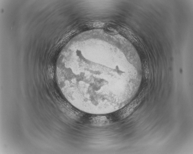 X0000070870374200607150127