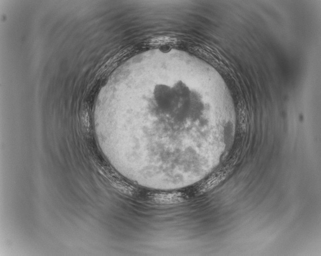 X0000070870375200607150127