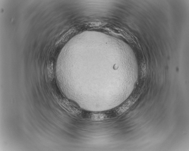 X0000070870376200607150127