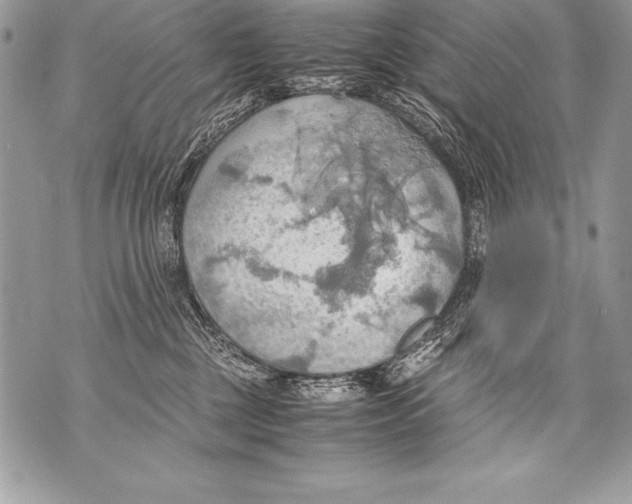 X0000070870377200607150127