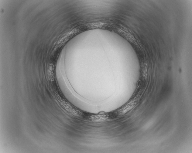 X0000070870378200607150127