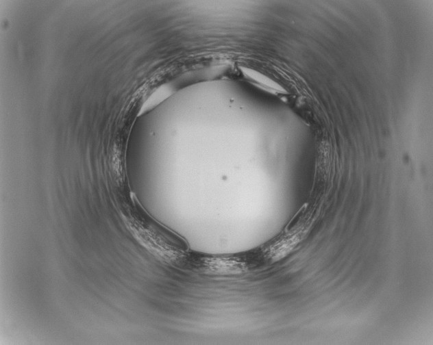 X0000070870380200607150127