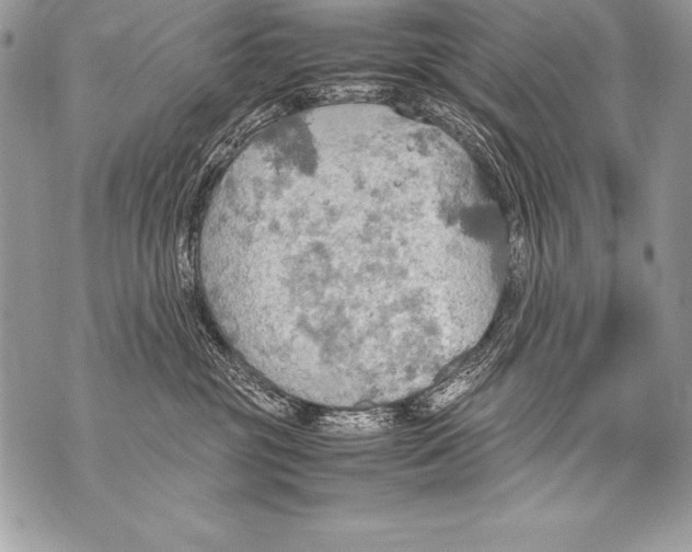 X0000070870381200607150127