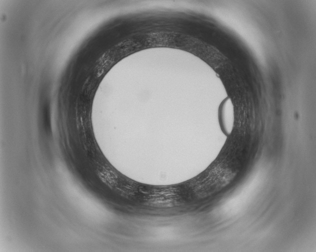 X0000070870382200607150127