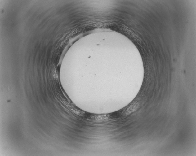 X0000070870384200607150127