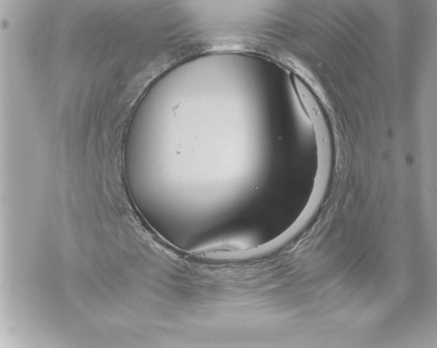 X0000070870385200607150127