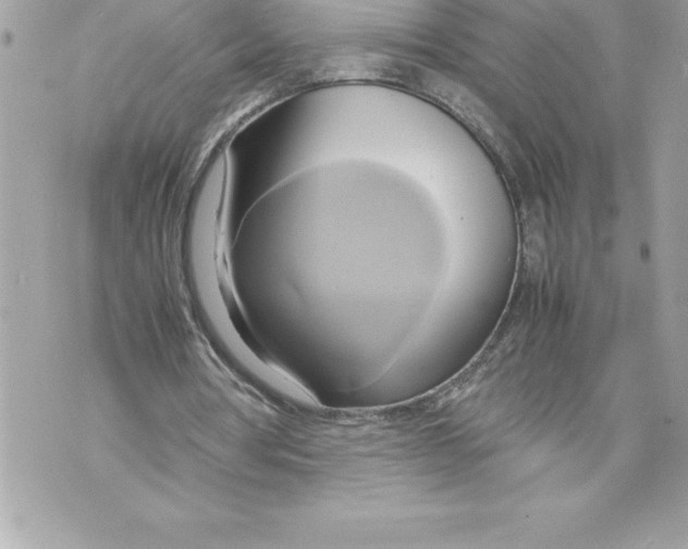 X0000070870386200607150127