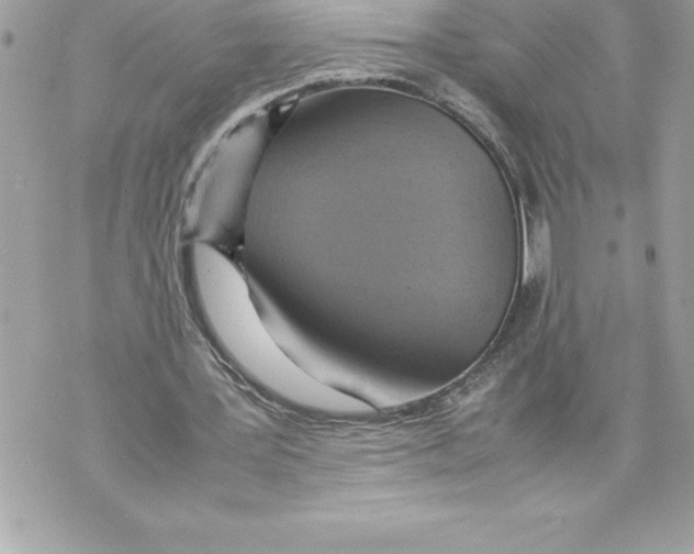 X0000070870387200607150127