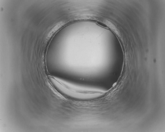 X0000070870389200607150127