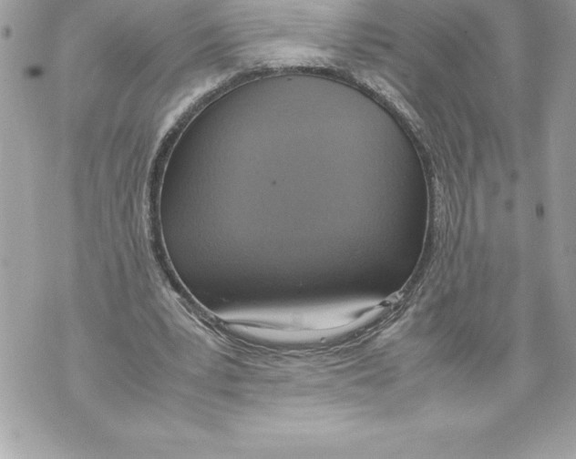 X0000070870391200607150126