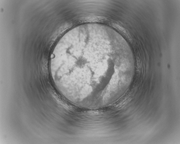 X0000070870394200607150126