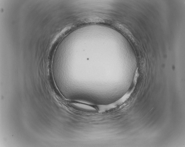 X0000070870395200607150126