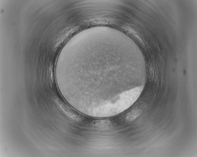 X0000070870398200607150126