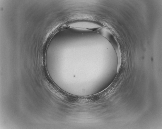 X0000070870399200607150126