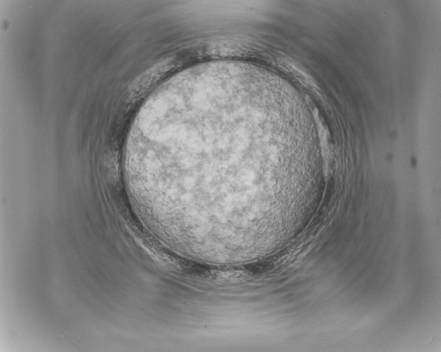 X0000070870401200607150126