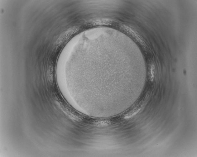 X0000070870402200607150126