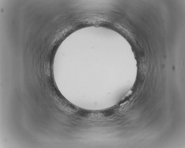 X0000070870403200607150126