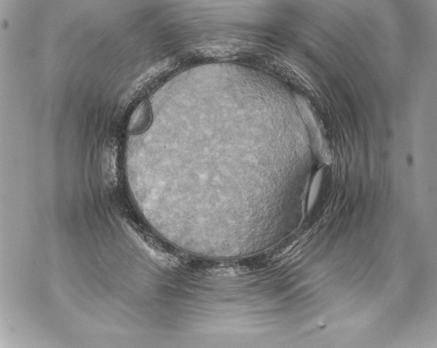 X0000070870404200607150126