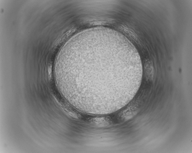 X0000070870406200607150126