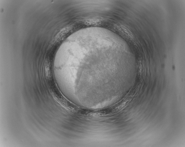 X0000070870408200607150126