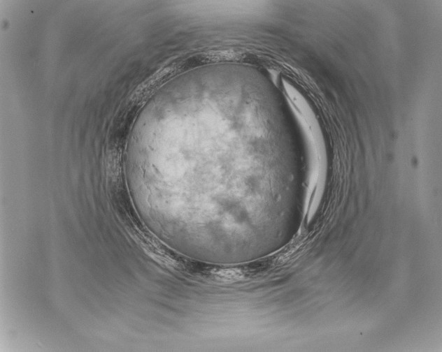 X0000070870409200607150126