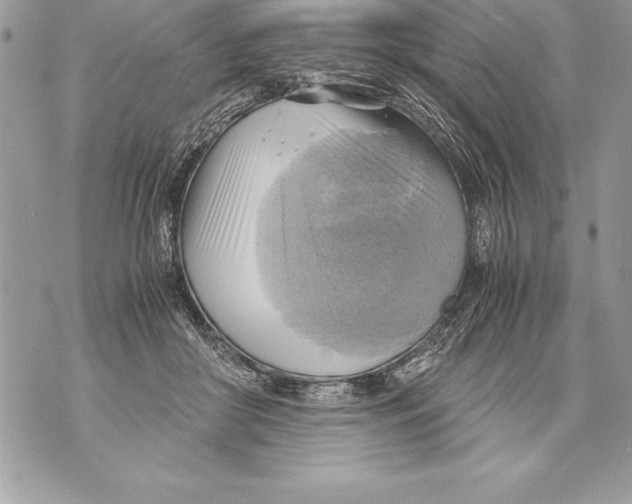 X0000070870410200607150126