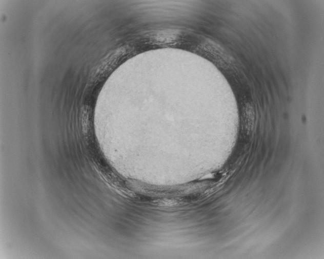 X0000070870412200607150126