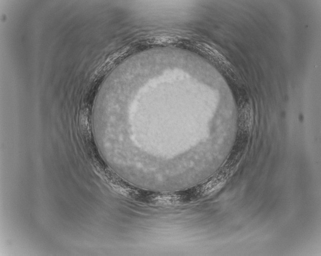 X0000070870415200607150126