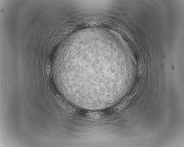 X0000070870417200607150126