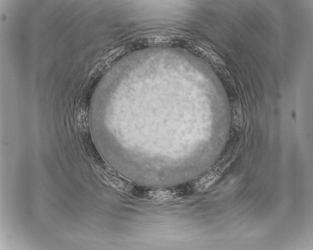 X0000070870419200607150126