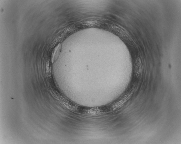 X0000070870420200607150126