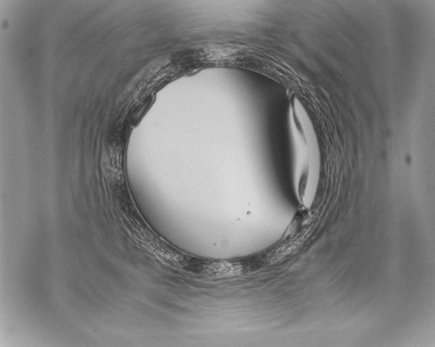 X0000070870421200607150126