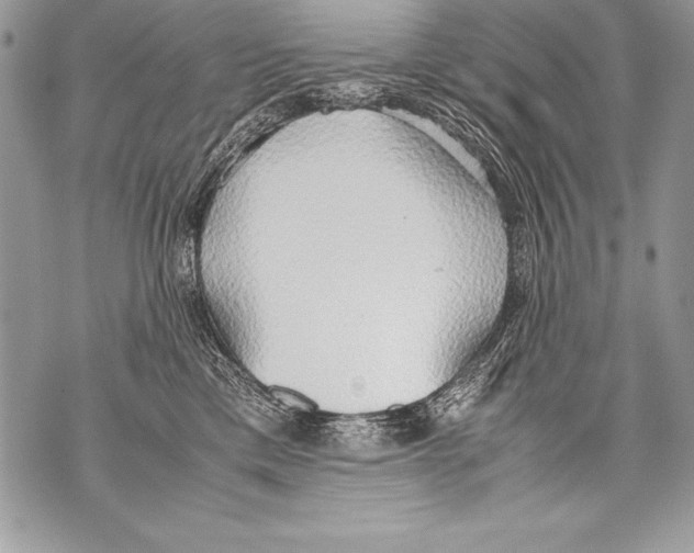 X0000070870425200607150126