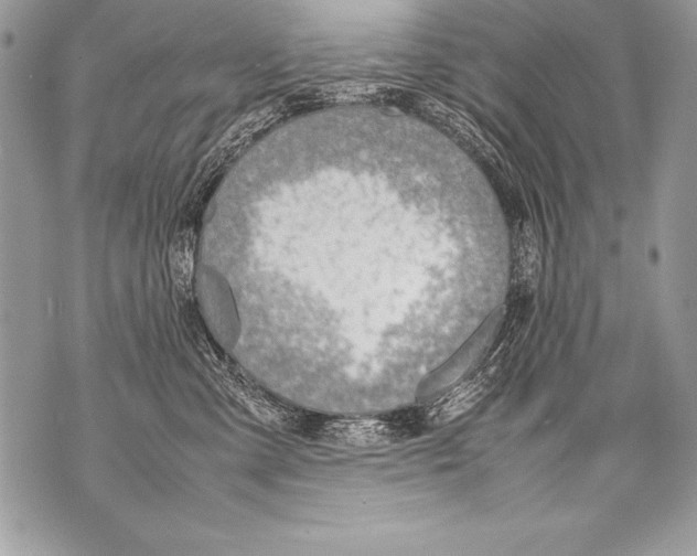 X0000070870427200607150126