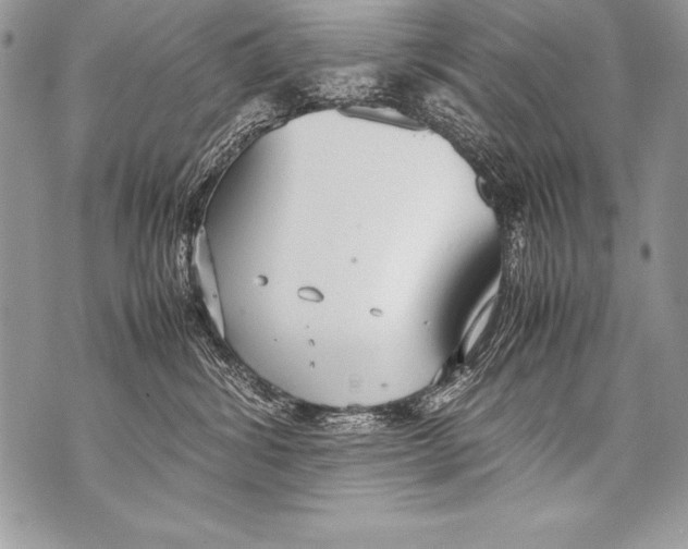 X0000070870428200607150126