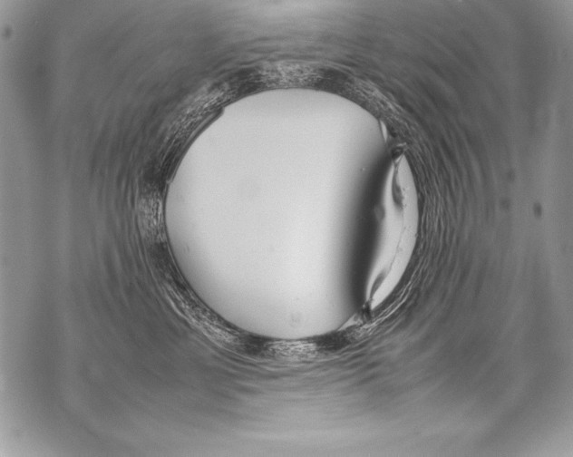 X0000070870429200607150126