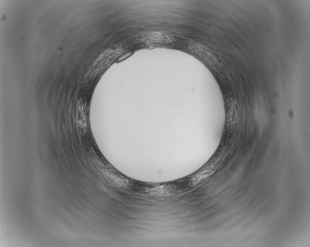 X0000070870430200607150126