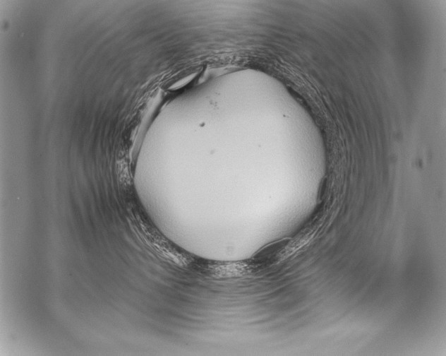 X0000070870432200607150126