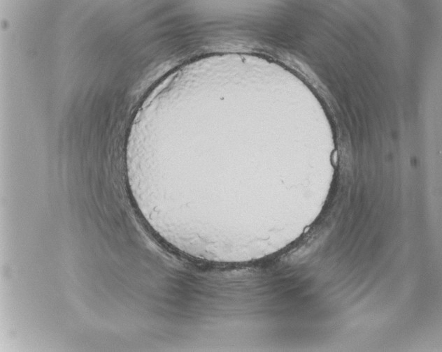 X0000070870433200607150125