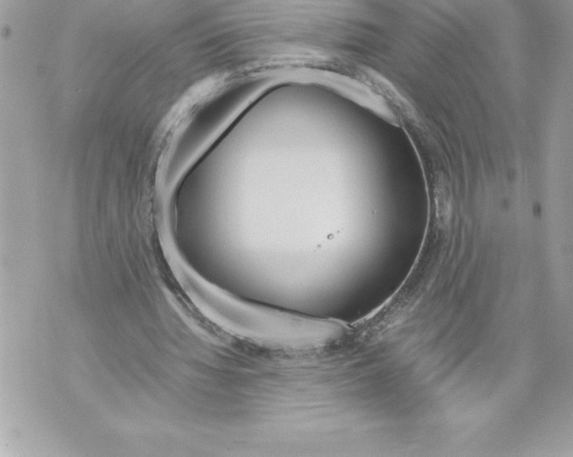 X0000070870436200607150125