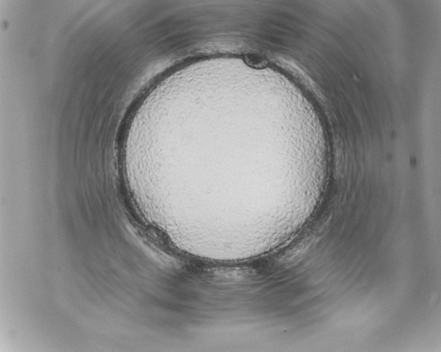 X0000070870439200607150125