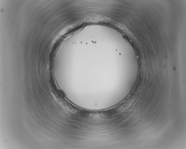 X0000070870440200607150125